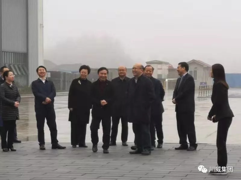 四川省省委常委、組織部長(zhǎng)王正譜一行考察調(diào)研川威裝配建筑(圖1)