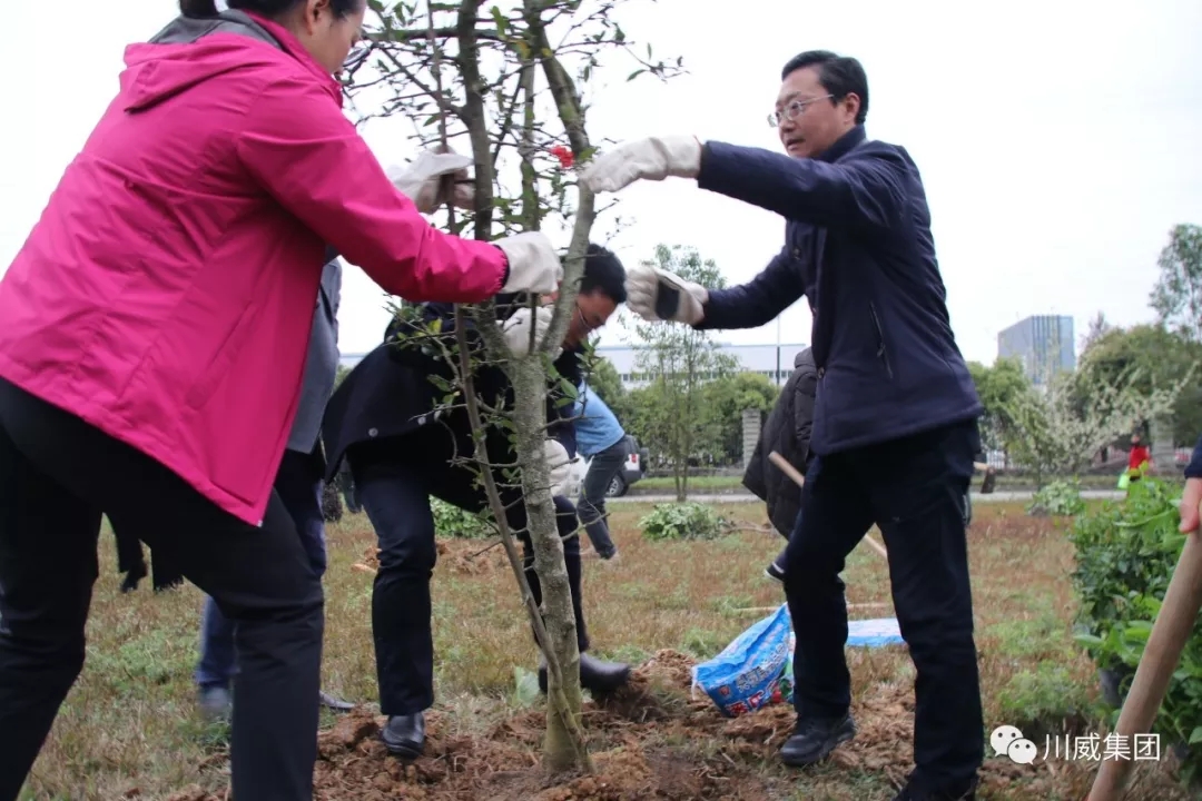 川威集團(tuán)舉辦2019年植樹(shù)節(jié)活動(dòng)(圖3)