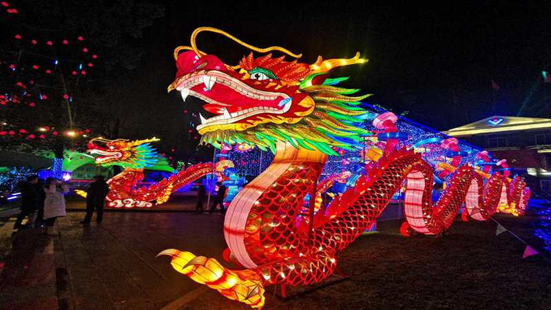 王勁董事長(zhǎng)大年三十晚親臨燈會(huì)現(xiàn)場(chǎng)送祝福(圖1)