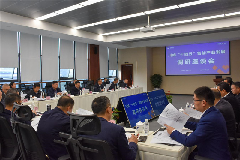 市政協(xié)主席康俊一行到川威召開“十四五”氫能產業(yè)發(fā)展調研座談會(圖1)