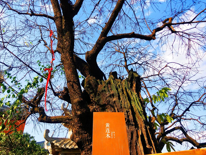大石板古村:保護利用讓歷史文化“活”起來 ——全省城鄉(xiāng)建設歷史文化保護利用工作現(xiàn)場會在西昌大石板古村召開(圖3) 大石板古村:保護利用讓歷史文化“活”起來 ——全省城鄉(xiāng)建設歷史文化保護利用工作現(xiàn)場會在西昌大石板古村召開(圖3)