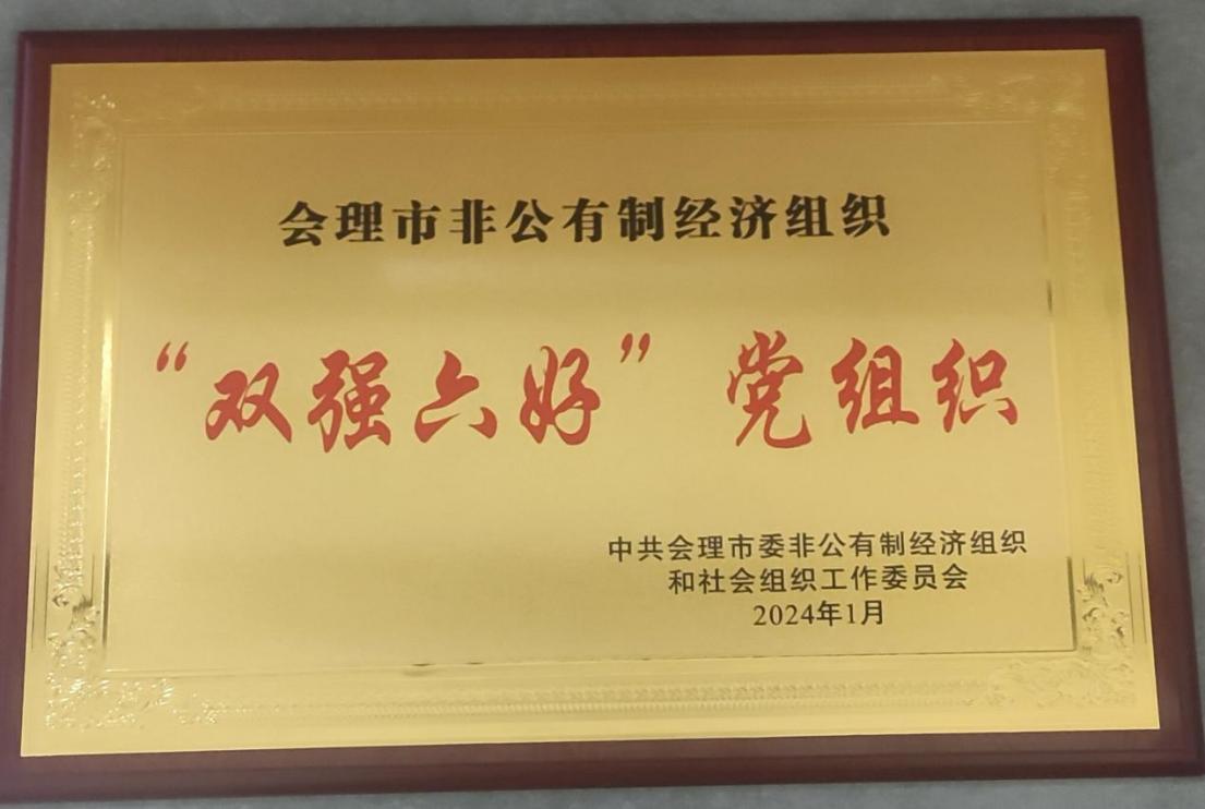喜訊！礦業(yè)總公司財(cái)通公司黨支部榮獲會(huì)理市“雙強(qiáng)六好”黨組織稱號(hào)