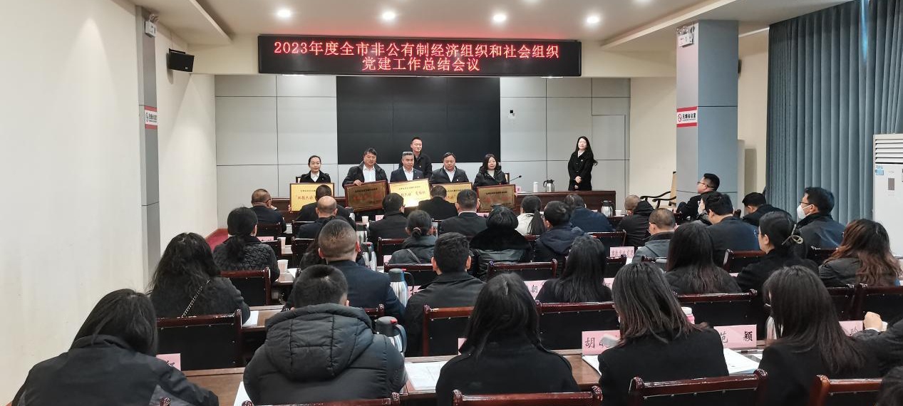 喜訊！礦業(yè)總公司財(cái)通公司黨支部榮獲會(huì)理市“雙強(qiáng)六好”黨組織稱號(hào)(圖3)