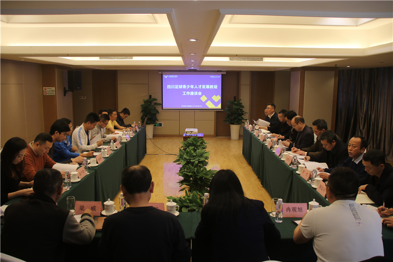 企業(yè)搭臺(tái) 專家唱戲 大咖齊聚 ——川威法蘭克福足校研討會(huì)召開(kāi)(圖1)
